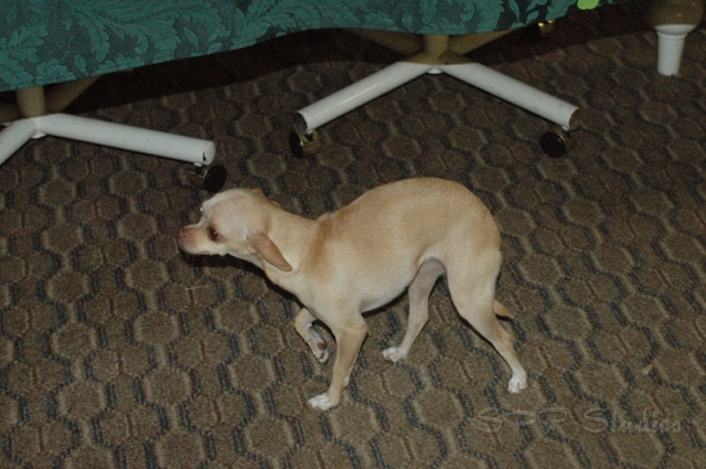 afterparty002.jpg